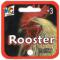 ROOSTER - MERCIER TOYS - MTC SQUARE 20X16mm + 1X25mm (FACE)